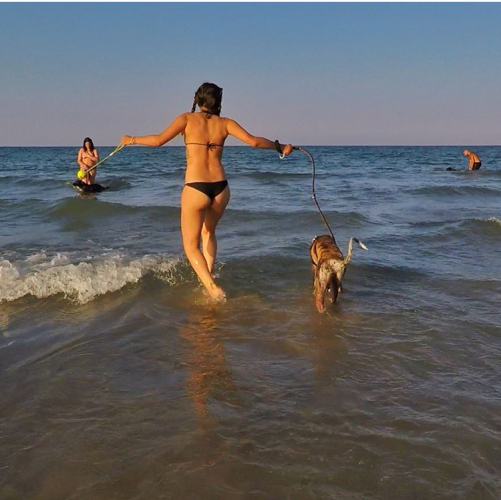 bagno_in_mare_con_il_cane_dog_beach_rimini