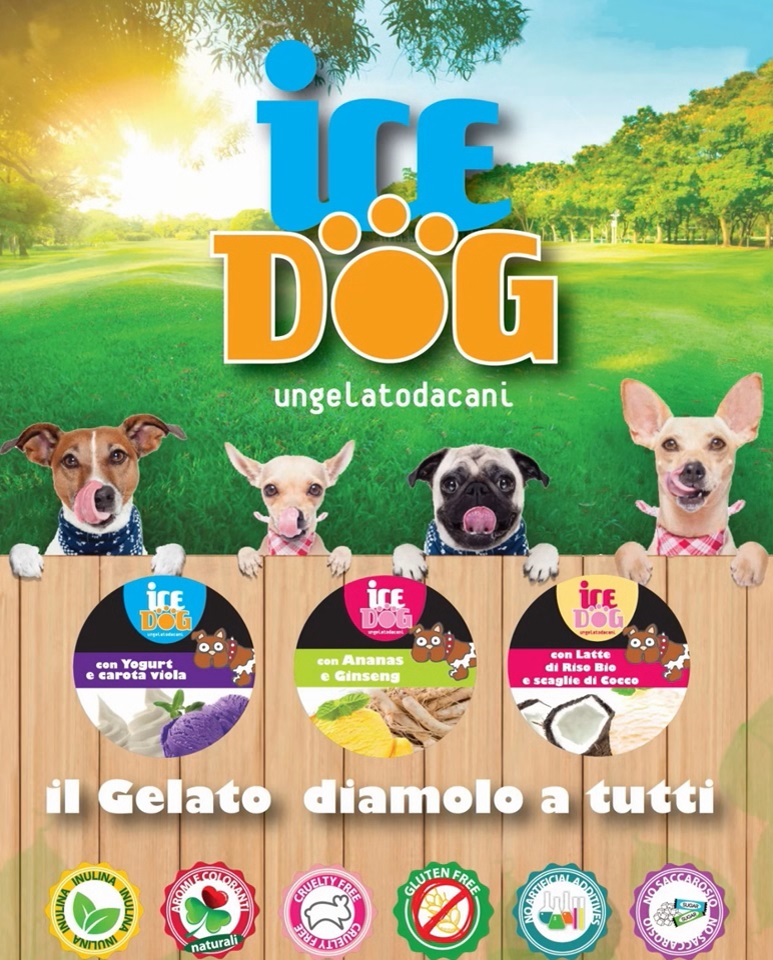 ice-cream-for-your-dogs-in-the-rimini-beach