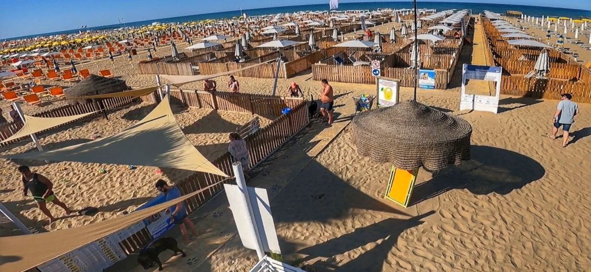 Aree recintate per cani in spiaggia il vantaggio del Bagno 81 Rimini