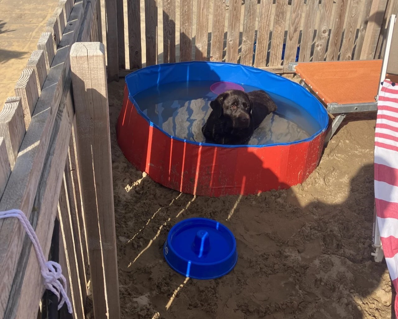 piscinette-per-cani-rimini