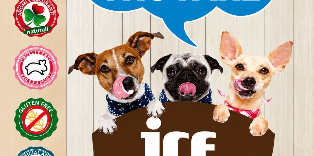ice-dog-news-sito