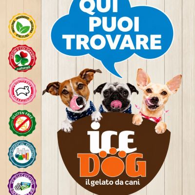 ice-dog-news-sito